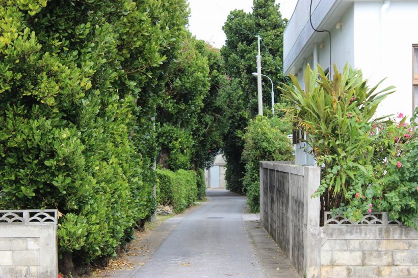 真謝集落散策 5